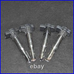 AUDI A4 8EC, B7 2007 High Voltage Ignition Coil Kit 40102033