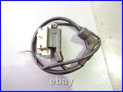 Chinese kit bike ignition coil