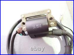 Chinese kit bike ignition coil
