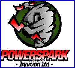 Ford Essex V6 Electronic Ignition Kit Viper Coil Black HT Leads NGK Spark Plugs