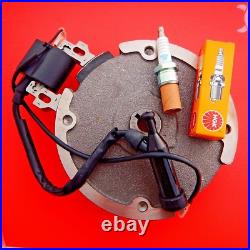 Ignition Coil, NGK Spark Plug, Flywheel Fits Honda GX160 Replaces 31100 ZE1 821