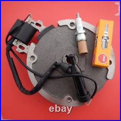 Ignition Coil, NGK Spark Plug, Flywheel Fits Honda GX160 Replaces 31100 ZE1 821