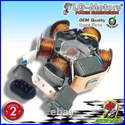 Stator And CDI Ignition Coil Kit For Piaggio Vespa Primavera 2T 50 2013 2014