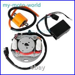 Stator Flywheel Rotor & CDI Ignition Coil Kit for Suzuki RM80 1977-01/RM85 02-23