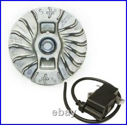TS800 Ignition Coil & TS800 Flywheel Combo Kit OEM Stihl parts 4224-400-1201