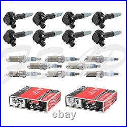 Tune Up Kit 2011 2016 Ford F150 5.0L V8 Ignition Coil DG542 Spark Plug SP548